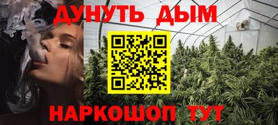 прущие грибы Малгобек