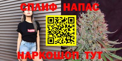 прущие грибы Малгобек