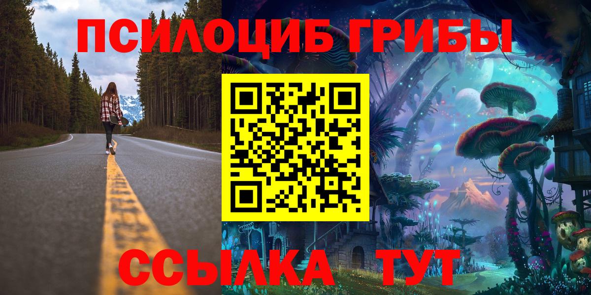 Псилоцибиновые грибы Psilocybine cubensis Домодедово