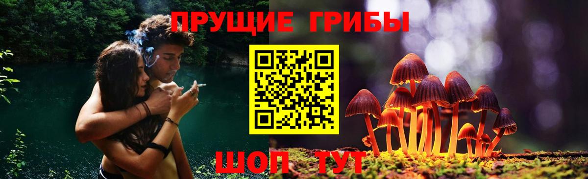 Галлюциногенные грибы Psilocybine cubensis  Вход с VPN  Домодедово  Галлюциногенные грибы мицелий 